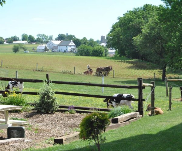 Lancaster: Amish Experience Visit-in-Person Tour of 3 Farms – Leacock Township, Pennsylvania