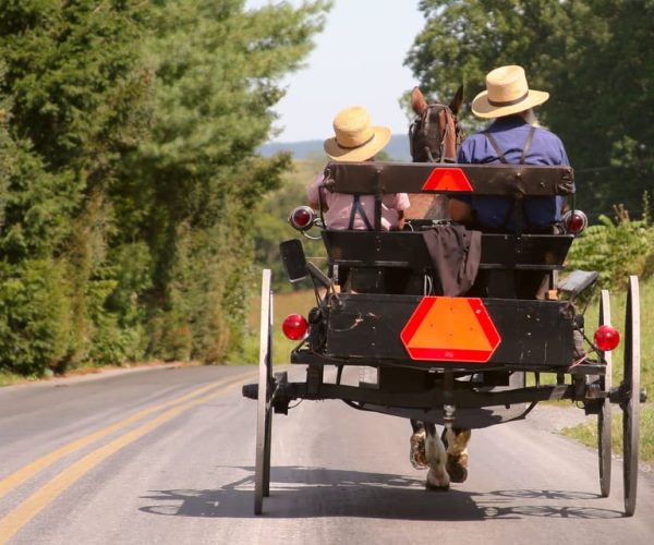 Lancaster County: Amish Farmlands, Museum Tour, Farm Visit – Lancaster, Pennsylvania