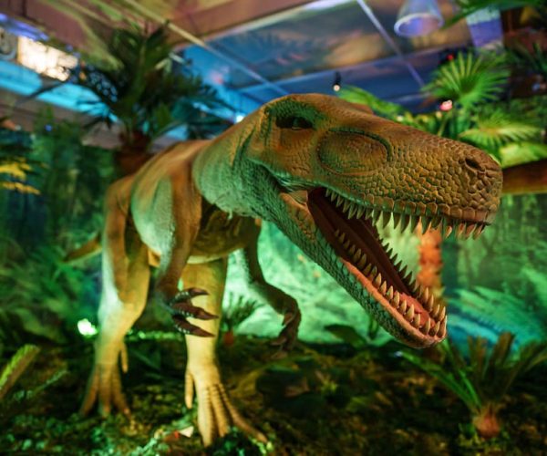 Las Vegas: Dino Safari Walk Through Adventure Entry Ticket – Las Vegas, Nevada