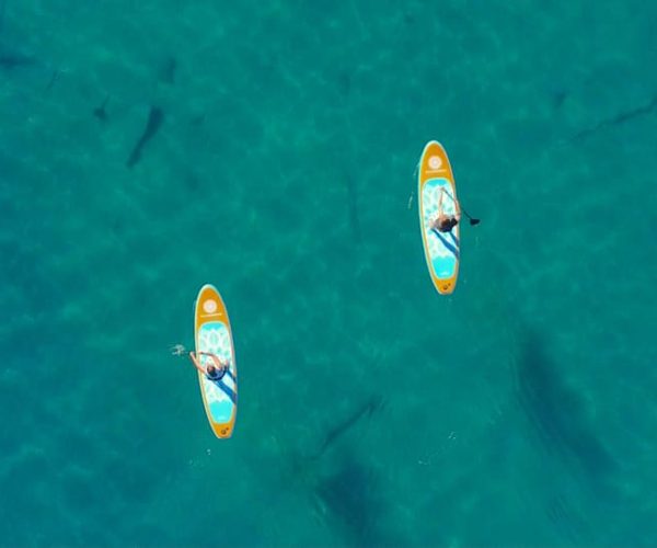 Las Vegas: Paddle board (SUP) tours at Lake Mead – Lake Mead, Nevada