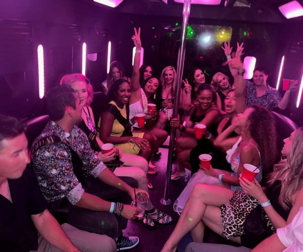 Las Vegas: VIP Nightlife Tour to Bar, Nightclub & Strip Club – Paradise, Nevada