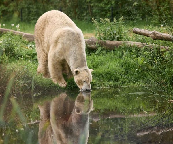 Leewarden: AquaZoo Entry Ticket – Friesland, Netherlands