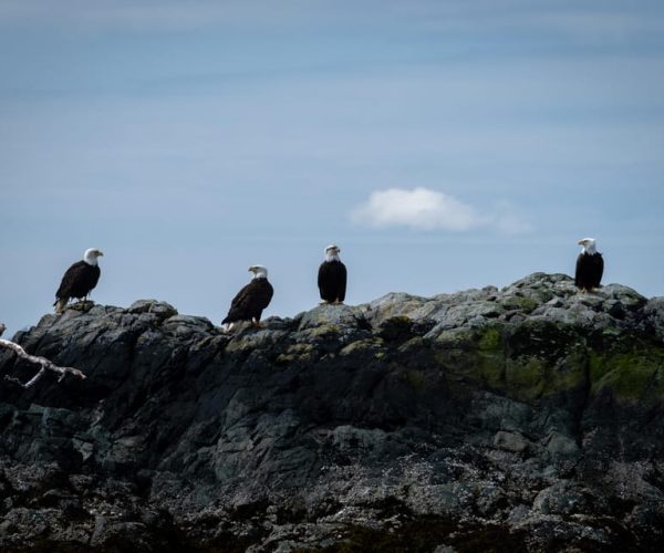 Lighthouse, Totems & Eagles Excursion – Alaska, Alaska