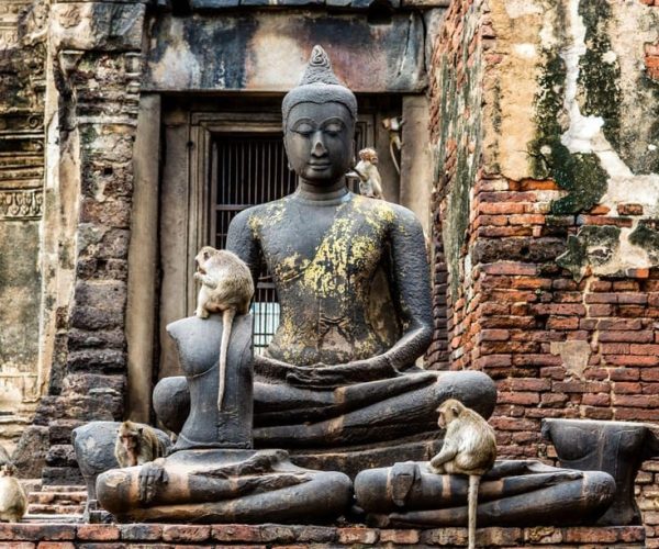 Lopburi Monkey Temple & Ayutthaya Old City (UNESCO) Tour – Lopburi, Thailand