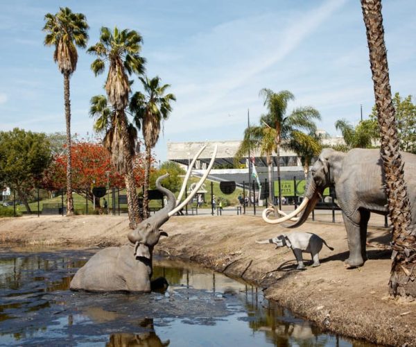 Los Angeles: La Brea Tar Pits Museum Ticket – Los Angeles, California