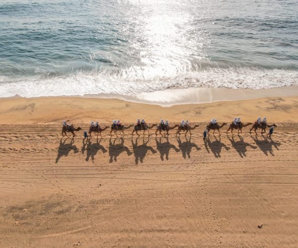 Los Cabos: Arch Tour by Speedboat and Camel Ride on Beach – Cabo San Lucas, Mexico