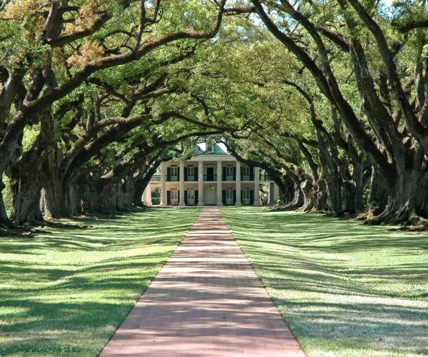 Louisiana: Laura, Oak Alley, or Whitney Plantation Tours – Vacherie, Louisiana