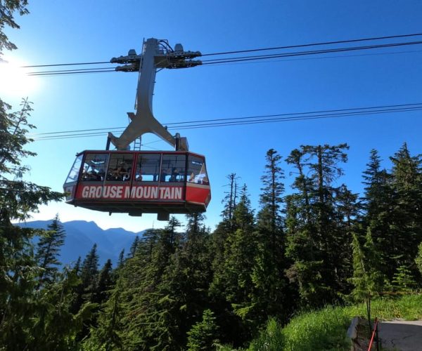 Lynn Canyon, Suspension Bridge & Grouse Mount Private Tour – British Columbia, Canada