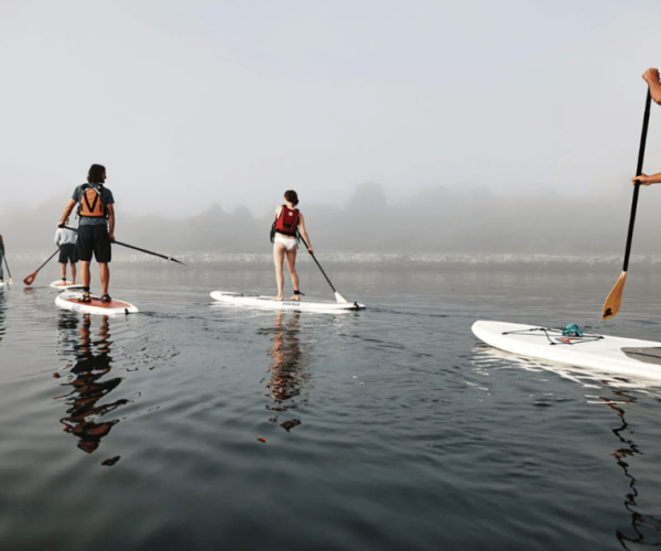 Maine: Half-Day Paddleboard Rental – Swan Lake, Maine