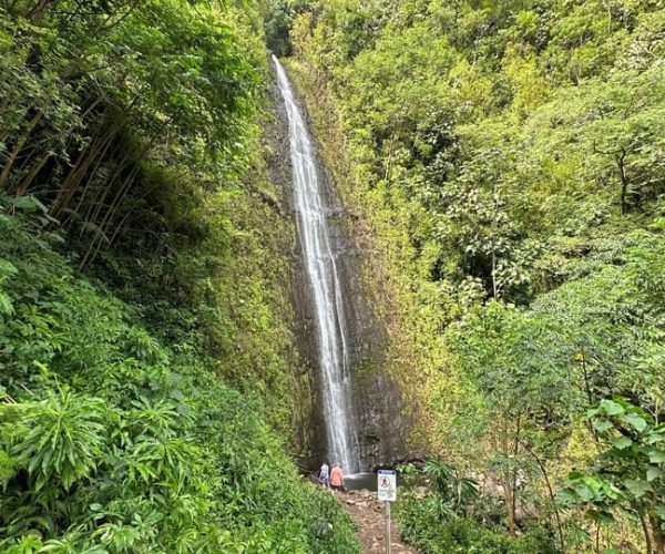 Manoa Falls eBike to Hike – Honolulu, Hawaii