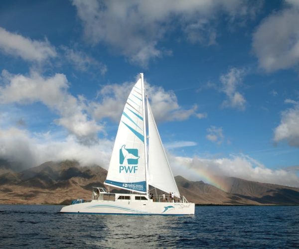 Maui: Exclusive Honolua Bay Sail from Ma’alaea Harbor – Hawaii, Hawaii