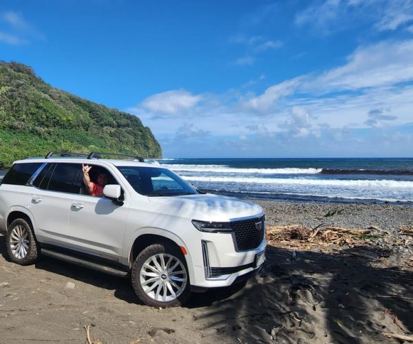 Maui: Private All-Inclusive Road to Hana Tour with Pickup – Hawaii, Hawaii