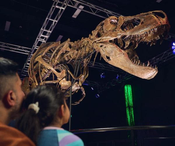 Melbourne Museum: Victoria the T. Rex Exhibition Ticket – Melbourne, Australia