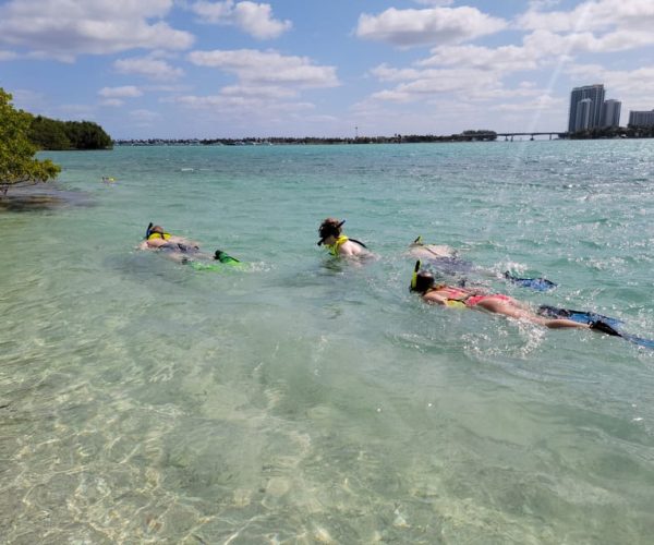 Miami: Beginner-Friendly Island Snorkeling by SUP or Kayak – Miami, Florida