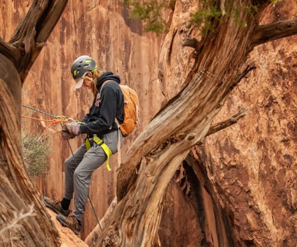 Moab: Fins and Things Canyoneering Adventure tour – Fins & Things, Utah