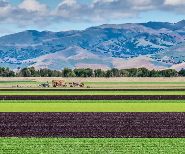 Monterey County Salinas Valley Farm Tour – California, California