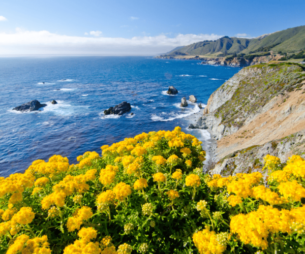 Monterey: Majestic 17-Mile Drive Loop Driving Tour – California, California