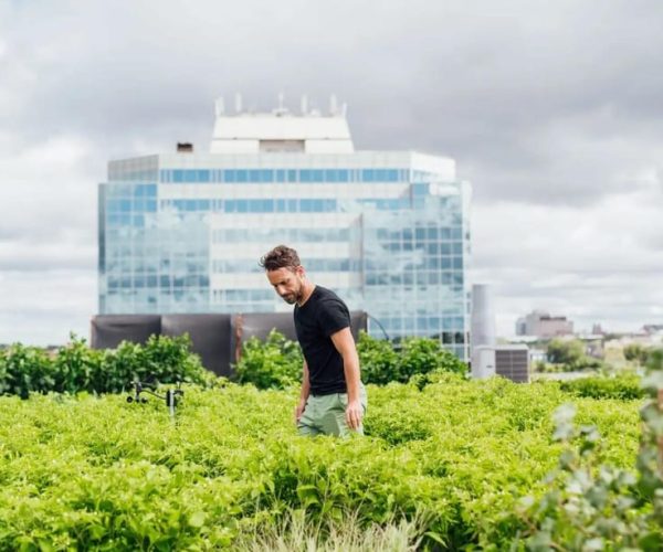 Montreal: the capital of urban agriculture – Montreal, Canada