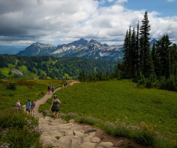 Mount Rainier NP: Full Day Private Tour & Hike from Seattle – Mount Rainier National Park, Washington