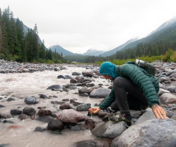 Mount Rainier National Park: Full Day Private Tour & Hike – Mount Rainier National Park, Washington