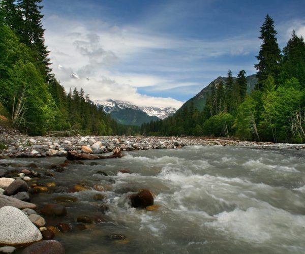 Mt Rainier, Seattle, & Olympic NP Self-Guided Audio Tours – Port Angeles, Washington