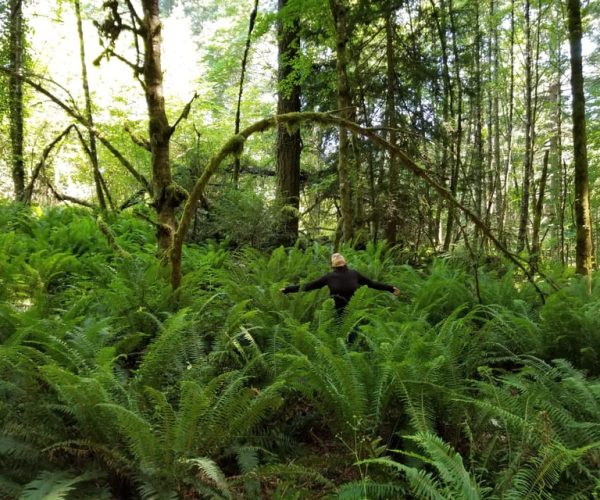 Mystical Rainforest Tour – Forest Magick – British Columbia, Canada