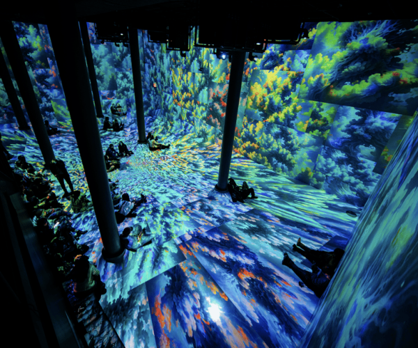 NYC: ARTECHOUSE Immersive Art Experience Entrance Ticket – New York City, New York