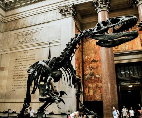 NYC: American Museum of Natural History Ticket & App Guide – New York City, New York