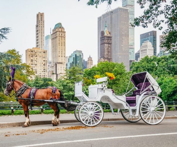 NYC: Guided Central Park Horse Carriage Ride – New York City, New York