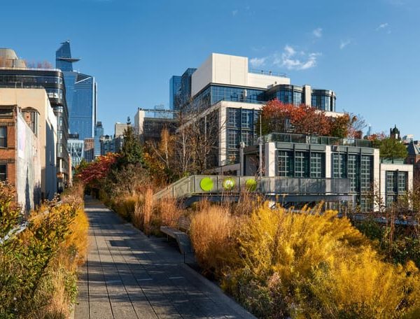 NYC: Hudson Yards & High Line Tour with Optional Edge Ticket – New York City, New York