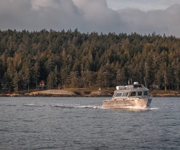 Nanaimo: Whale Watching Semi-Covered Boat Tour – British Columbia, Canada