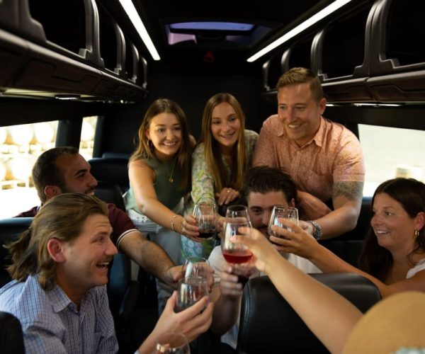 Napa Valley: Daily Charter Transportation Around Napa Valley – Napa, California