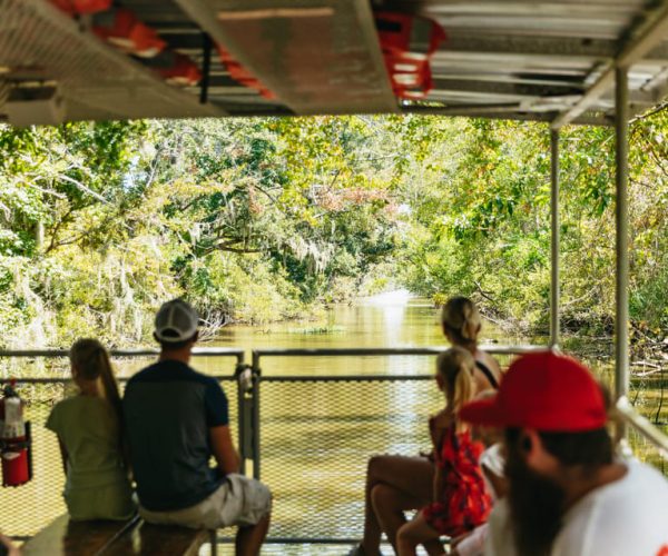 New Orleans: Bayou Tour in Jean Lafitte National Park – Louisiana, United States