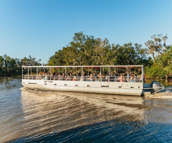 New Orleans: Guided Swamp Cruise by Tour Boat – Louisiana, United States