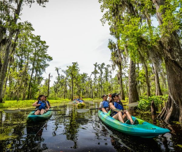 New Orleans: Manchac Magic Kayak Swamp Tour – Louisiana, United States