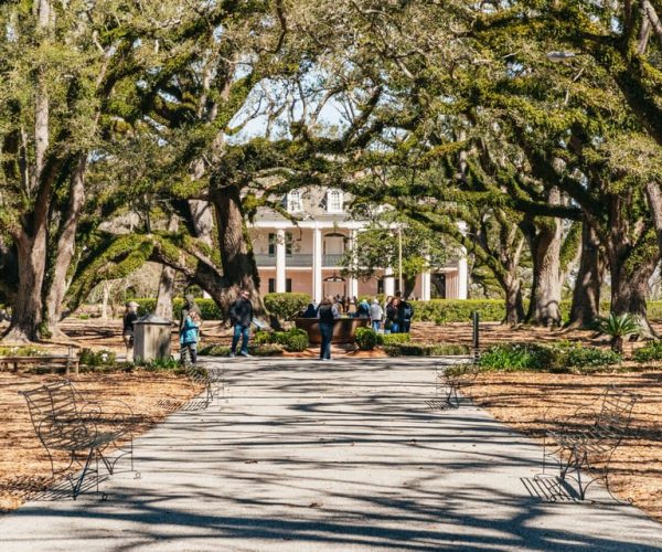 New Orleans: Oak Alley Plantation & Airboat Swamp Combo Tour – Louisiana, United States