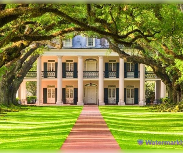 New Orleans: Oak Alley Plantation and Katrina City Tour – Louisiana, United States