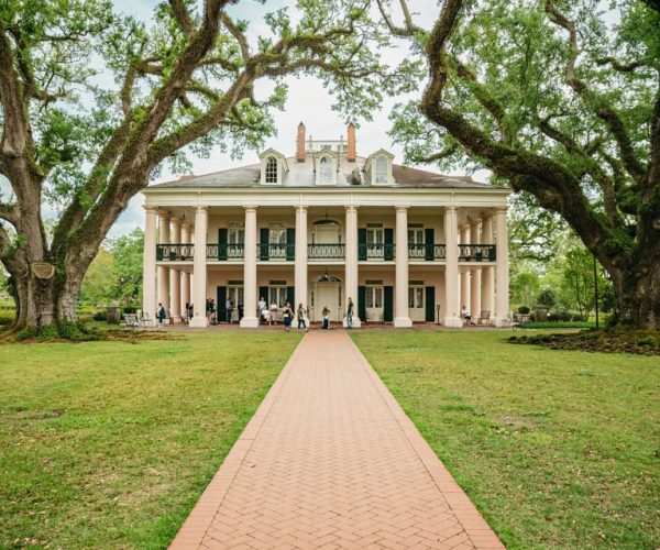 New Orleans: Oak Alley Plantation and Swamp Cruise Day Trip – Louisiana, United States