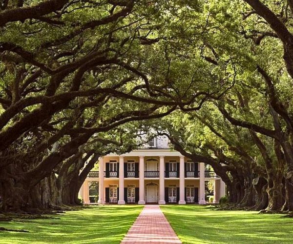 New Orleans: Swamp Boat Ride and Historic Plantation Tour – Louisiana, United States