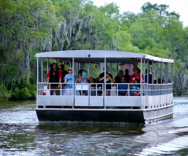 New Orleans: Swamp Tour on Covered Pontoon Boat – Louisiana, United States