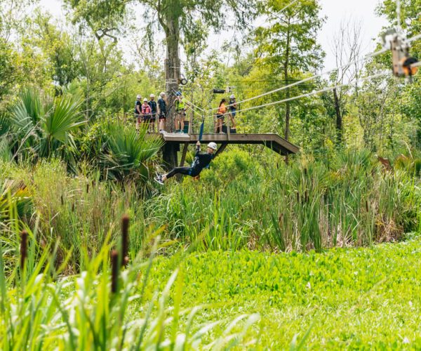 New Orleans: Swamp Zipline Tour – Maurepas Swamp Wildlife Management Area, Louisiana