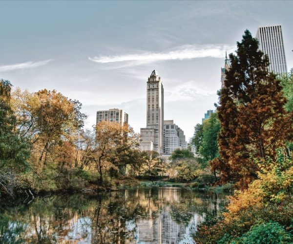 New York: Central Park – Guided Walking Tour – New York City, New York