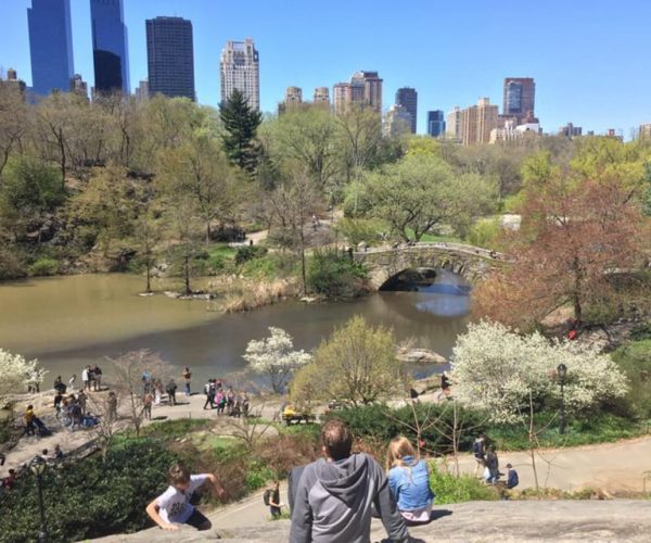 New York City: Central Park Highlights Walking Tour – New York City, New York