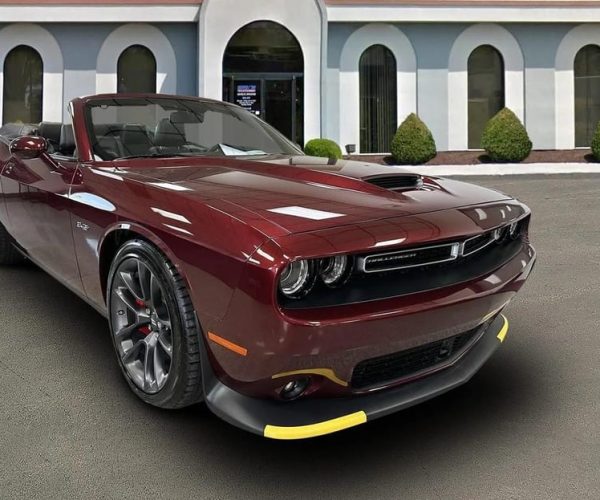 New York City: Private Tour by Dodge Challenger Convertible – New York City, New York