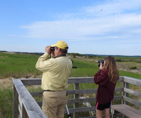 Newburyport: Plum Island Bird Watching Tour w/Transportation – Boston, Massachusetts