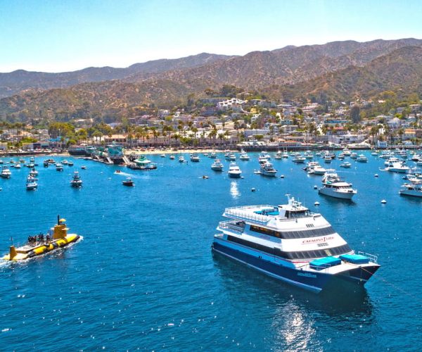 Newport Beach: Ferry Ticket to/from Catalina Island – Avalon, California