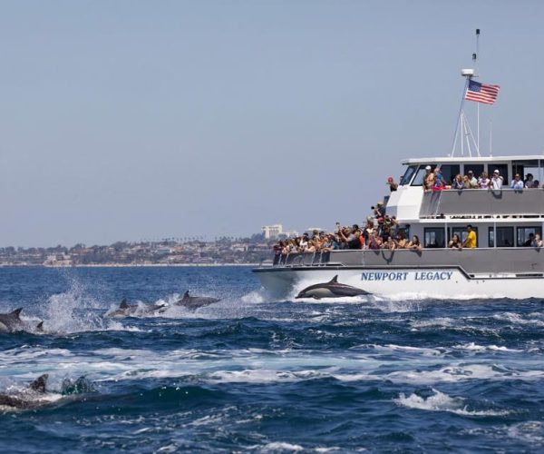 Newport Beach: Whale and Dolphin-Watching Cruise – California, United States