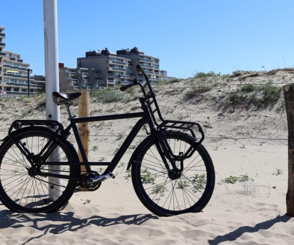 Noordwijk: Beach and Dunes Bike Tour – South Holland, Netherlands