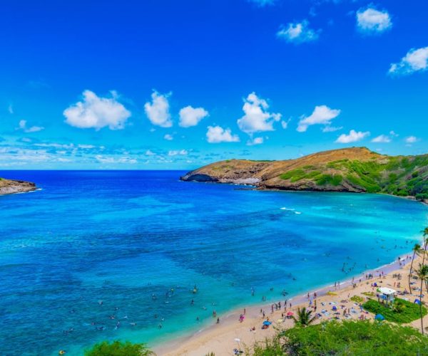 Oahu: Full-Day Island Highlights Tour with Transfer – Hawaii, United States