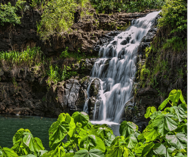 Oahu Hidden Gems & Waimea Botanical Garden/Waterfall tour – Pupukea, Hawaii